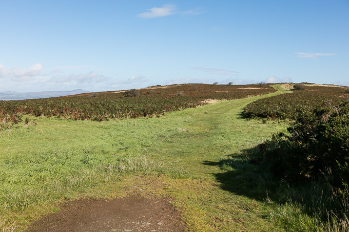 Ireland Sept 2016 (24)